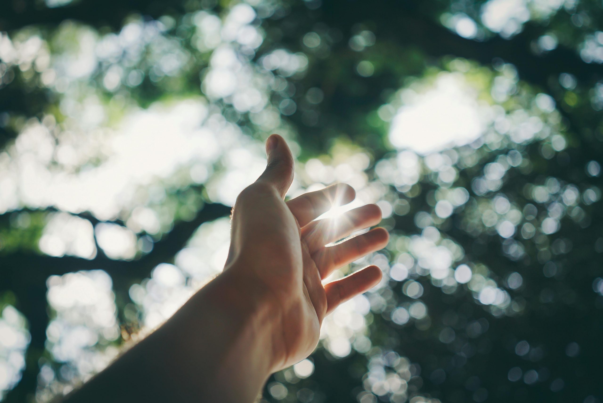 Vitamina D: Tu gran aliada